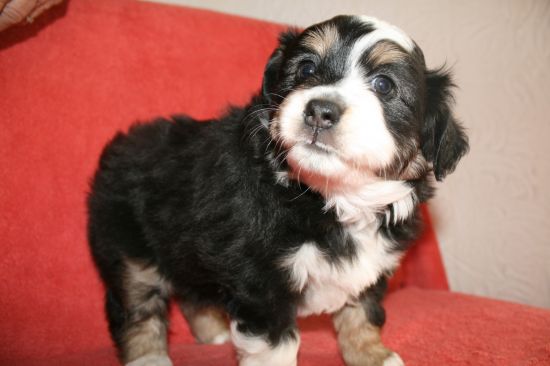 Bonne pour le service !!