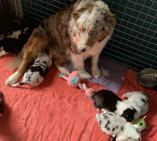 notre moiversaire !!