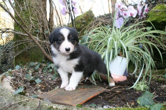 BONS POUR LE SERVICE !!