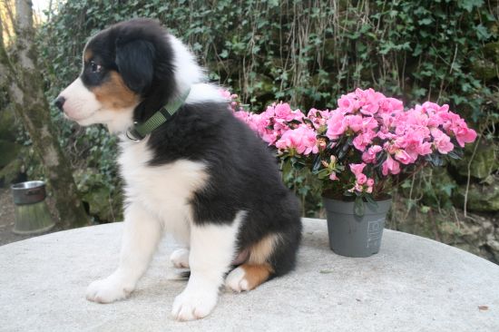 barrry  est parti !!